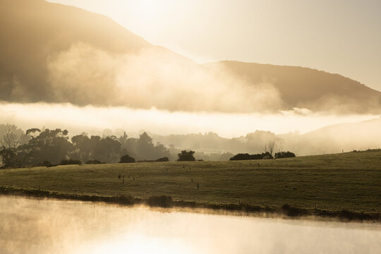 morning fog hugging farmland, Stanford, South Africa