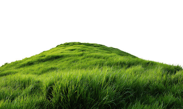 Lush Green Hillside Grass With Soft Sunlight Illuminating Fresh Blades nature, Isolated, Png Transparent Background