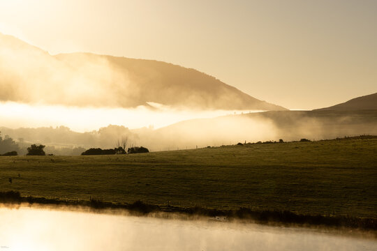 morning fog hugging farmland, Stanford, South Africa