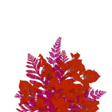 Elegant autumn colored foliage bouquet with red and purple fern leaves on transparent background