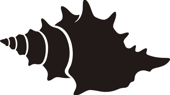 Detailed Black Silhouette of a Sea Snail Shell