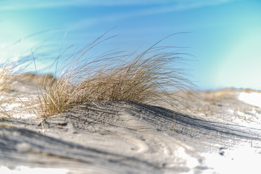Nachmittags am Strand