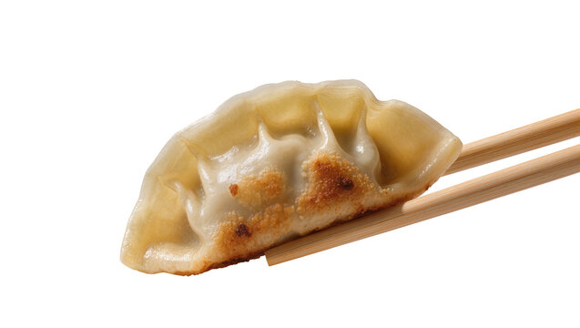 Golden pan-fried dumpling held by wooden chopsticks, isolated on transparent background