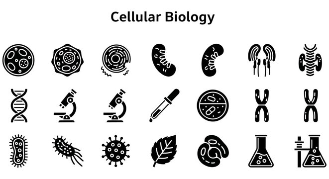 A comprehensive set of black and white icons representing various concepts in cellular biology, including cells, DNA, microscopes, and lab equipment.