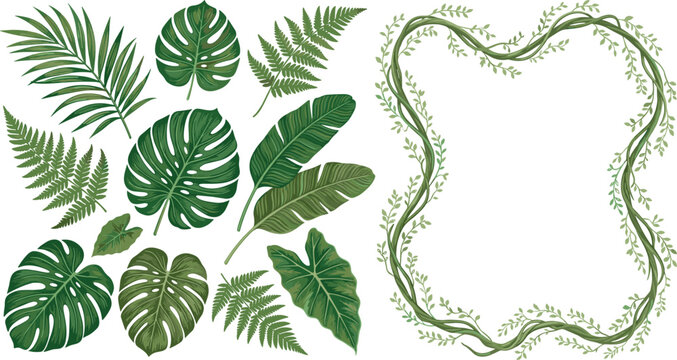 Tropical Leaf Set and Vine Wreath Frame Featuring Monstera Palm Banana and Fern Fronds for Botanical Invitation Designs