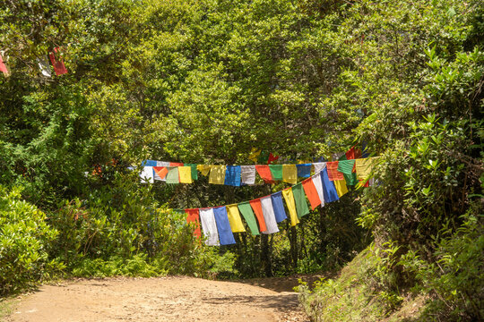 Paro Bhutan, colourful prayer flags on path to tigers nest