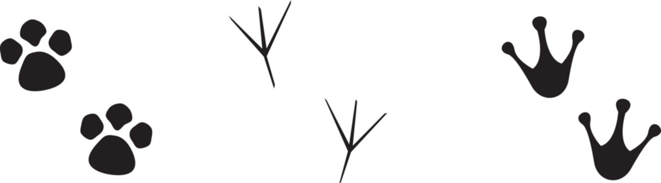 Minimal animal footprint icon set featuring paw prints, bird tracks, and amphibian marks in bold black silhouettes. Clean vector style ideal for wildlife themes, nature guides, and tracking visuals. 