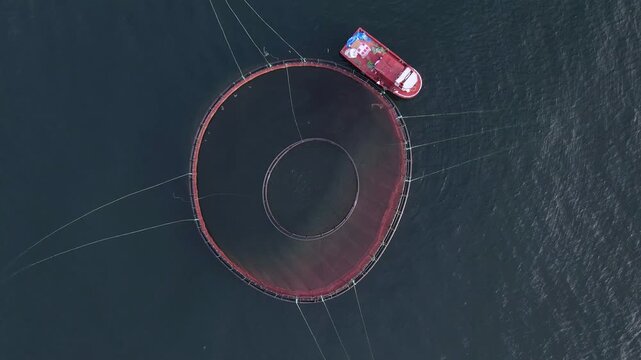 Footage of fish ponds, the main form of aquaculture. Salmon, sea bass, sea bream and trout are the most commonly grown fish in fish ponds used for commercial fishing in the sea, lakes and ponds.