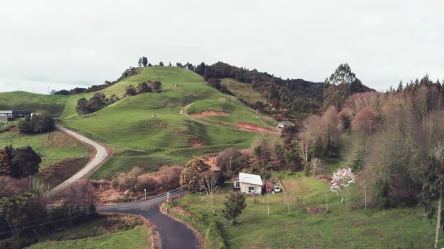 New Zealand Countryside Scenery, Waitomo Area from drone