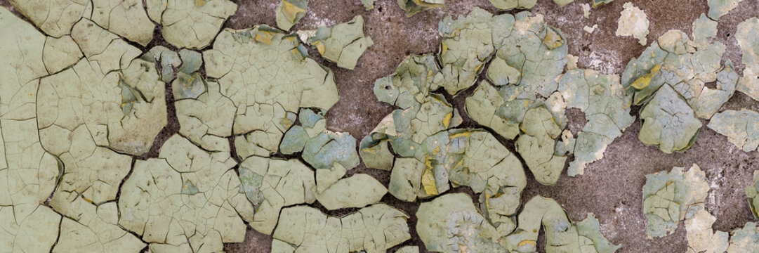 Peeling paint on the wall. Panorama of a concrete wall with old cracked flaking paint. Weathered rough painted surface with patterns of cracks and peeling. Wide panoramic texture for design background