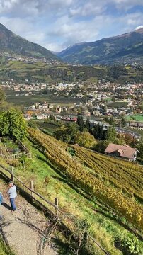 Panoramic autumn view over Merano valley and vineyards in South Tyrol, Italy