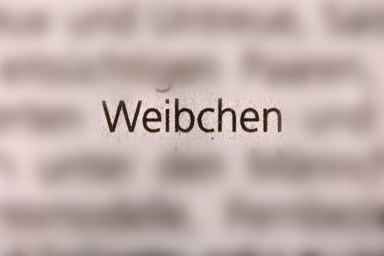 Der Begriff " Weibchen " in der Zeitung gedruckt und durch Umgebungsunsch&auml;rfe betont