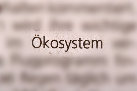 Der Begriff " &Ouml;kosystem " in der Zeitung gedruckt und durch Umgebungsunsch&auml;rfe betont