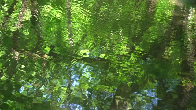鳥取県の春の奥大山木谷沢渓流_10bit_4:2:2
