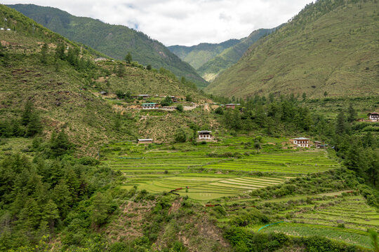 Paro Bhutan, view across valley with rice field to mountains