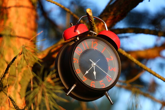 red alarm clock