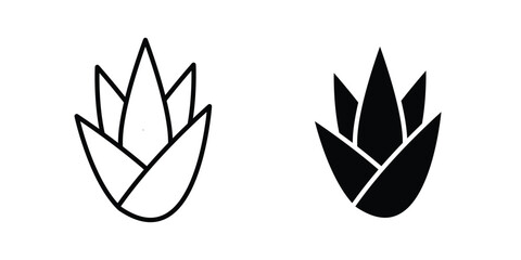 Fototapeta premium Aloe vera icon vector illustration on white