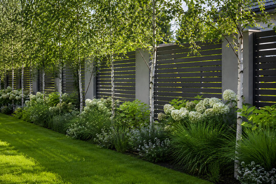 Modern landscaped garden with decorative fence and lush greenery