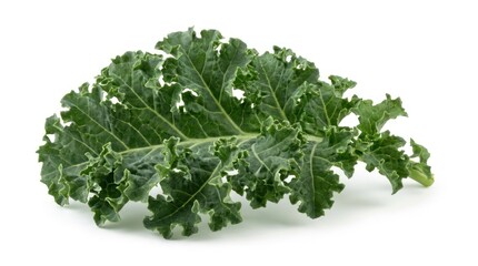 Fototapeta premium Fresh Green Kale Leaf Isolated on White
