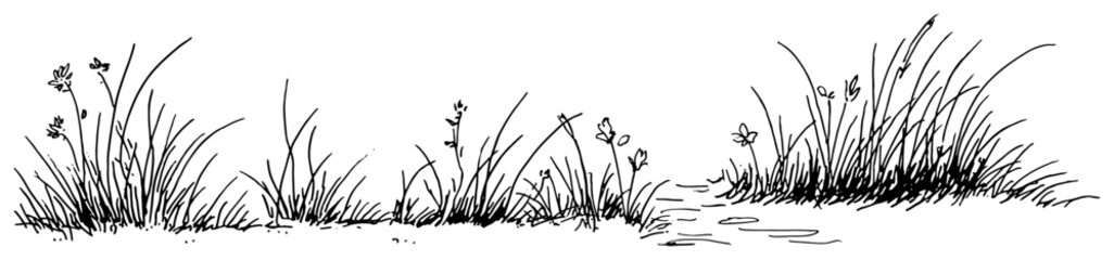 Wild grass and meadow flowers horizontal border in hand drawn sketch style © Celestynka