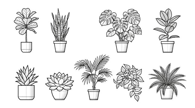 Indoor Plant CAD Vector Collection with Tropical Houseplants, Succulents and Decorative Botanical Elevations