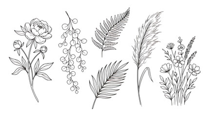 Hand drawn botanical line art collection, minimalist floral sketches with peony and fern leaves, elegant black ink wildflower vector set for wedding stationery © Rafay