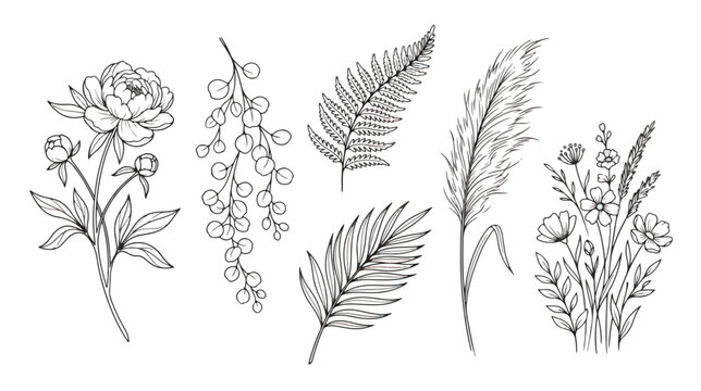 Hand drawn botanical line art collection, minimalist floral sketches with peony and fern leaves, elegant black ink wildflower vector set for wedding stationery