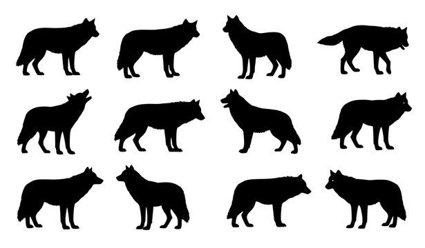 Twelve black silhouette illustrations of a husky dog in various poses and perspectives