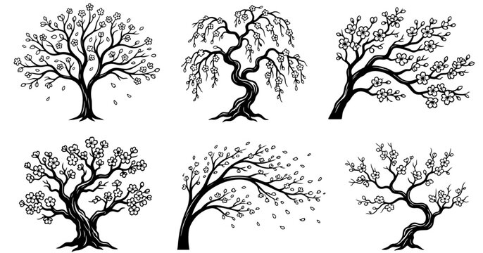 Set of black cherry blossom tree silhouettes with blooming branches