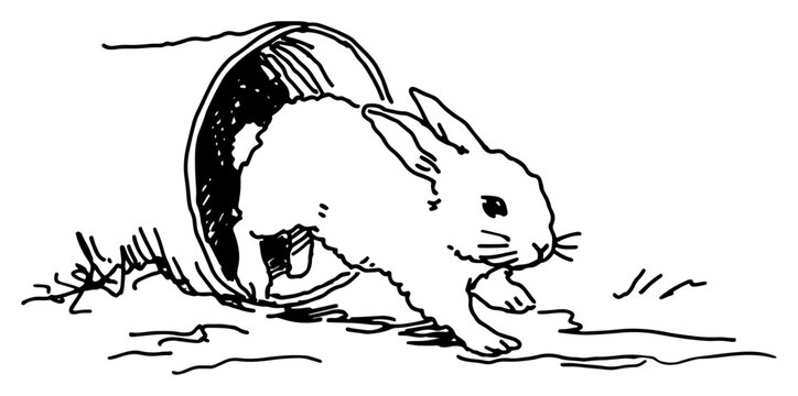 Rabbit jumping out of a burrow or tunnel minimalist line art sketch
