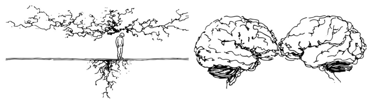 Two human brains touching and person with root branches in minimalist line art style