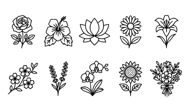 Botanical Flower Outline Collection for Floral Decoration and Nature Design
