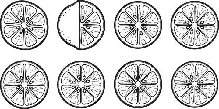 Set of decorative mandala patterns with floral designs black and white Vector