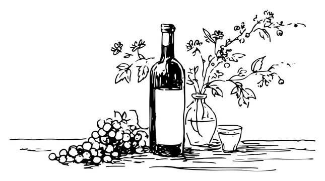 Wine bottle with grapes and floral arrangement in hand drawn sketch style