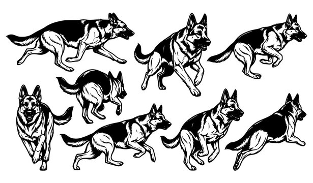 German Shepherd Dog Running and Jumping Pose Silhouette Collection Isolated on White Background Vector