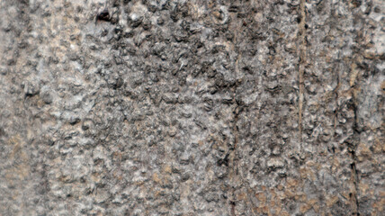 Close-up of rugged stone texture, showing natural weathered surface details © Belva