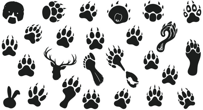 Collection of Animal Paw Prints and Footprints Silhouette Vector Icons