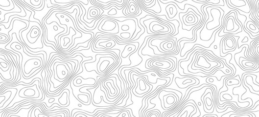 Elegant Wavy white topography abstracted on a white backdrop. cartography topographic map. Topographic map background geographic line map. © Abd