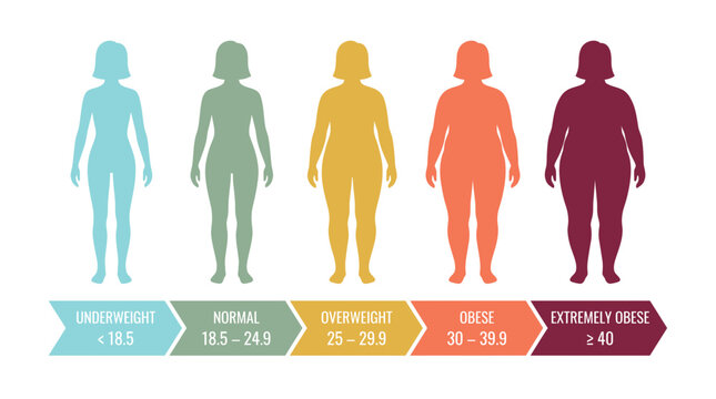 Female body silhouettes infographic showing BMI categories from underweight to extremely obese with numerical index, illustrating healthcare data and representing medical weight education