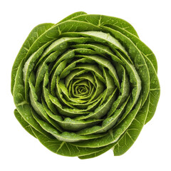 Obraz premium Green spiral design with leaf texture