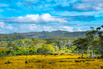 Fototapeta premium Central Highlands of Tasmania - Australia
