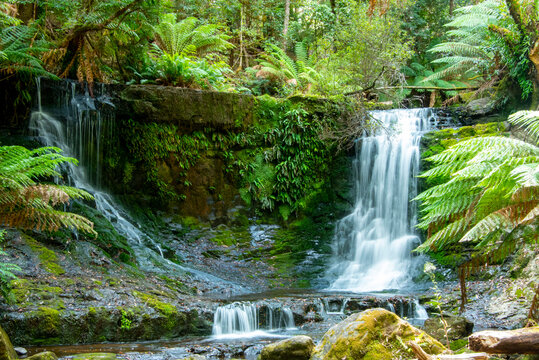 Horseshoe Falls in Mount Field National Park - Tasmania