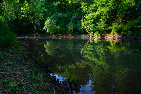 Smooth, slow moving water of Chickamauga Creek with the lush green of the forest mirrored in the glassy water