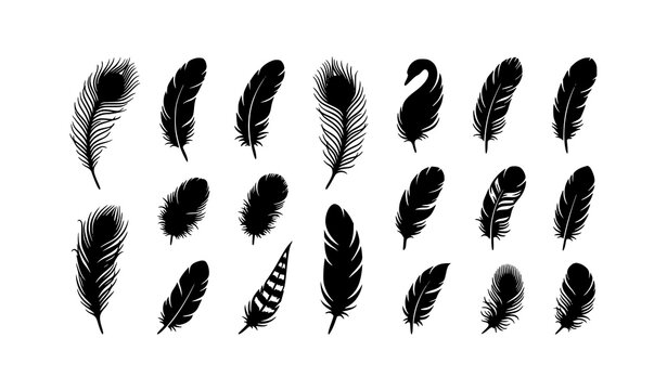 Black and white feather silhouette vector set with various elegant feather shapes