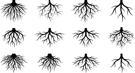 Collection of Twelve Black Tree Root Silhouettes Different Styles Isolated on White Background Vector Set © MdAsikul