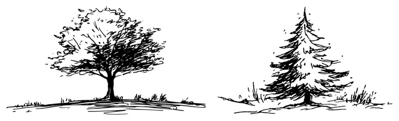 Deciduous and coniferous trees on a horizon in hand drawn sketch style © AdrianGebert