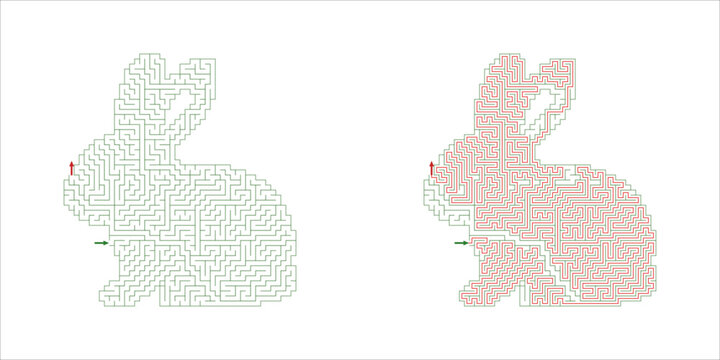  A complex rabbit maze