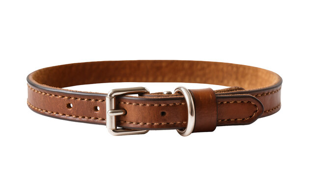 Isolated close up of a brown leather dog collar with metal buckle and D-ring, pet accessory