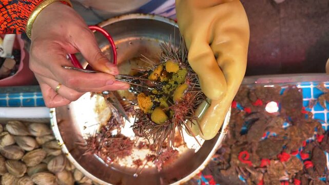 Woman is cleaning sea urchin at market. Fresh sea urchin cleaning concept