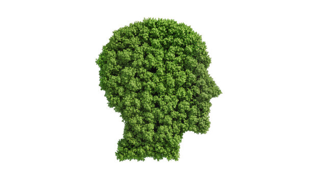 Isolated silhouette profile of a human head filled with fresh green leaves, nature and mind concept